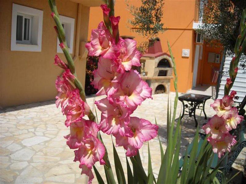 Erietta Studios Svoronata Exterior foto